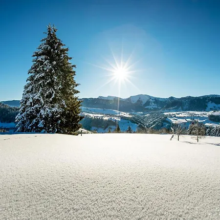 Allgaeu Luxury Bergloewe Mit Sauna *