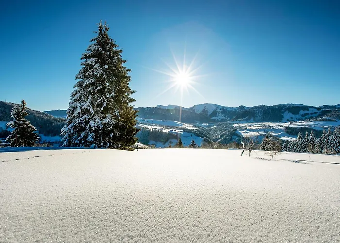 Allgaeu Luxury Bergloewe Mit Sauna *