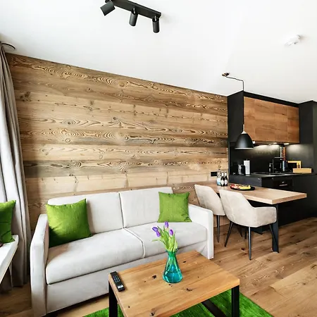 Apartment Allgaeu Luxury Bergloewe Mit Sauna