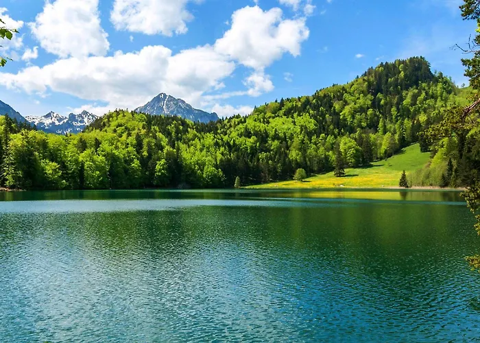 Apartment Allgäu Luxury Berglöwe Mit Sauna Oberstaufen